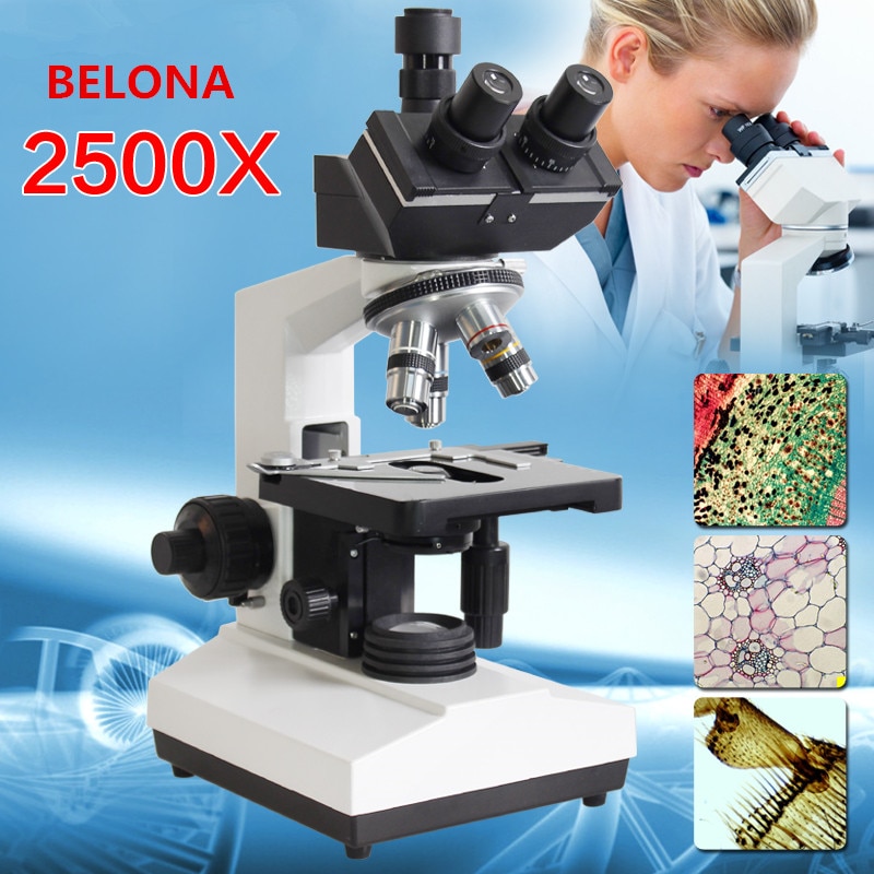 BELONA-  ־ ̰ 2500X 7 ġ LCD ȭ ..
